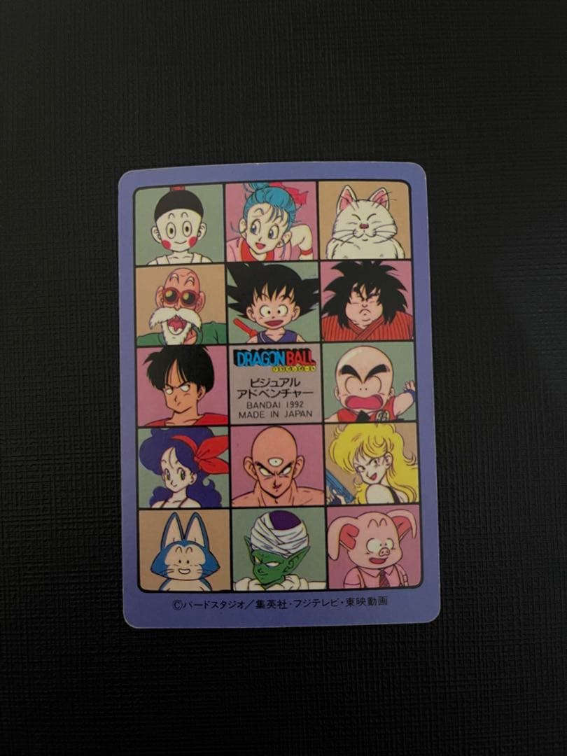 ビジュアルアドベンチャー　169 空の休日(並上品-並品)