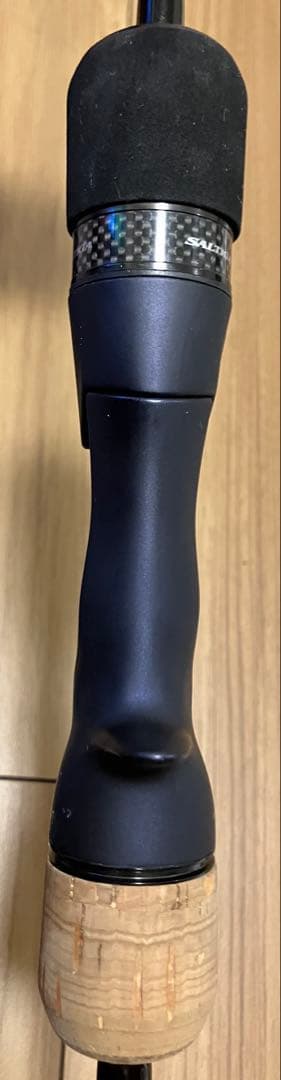 ダイワ　ソルティガ　スロージギングSJ 61B-4 Daiwa Saltiga
