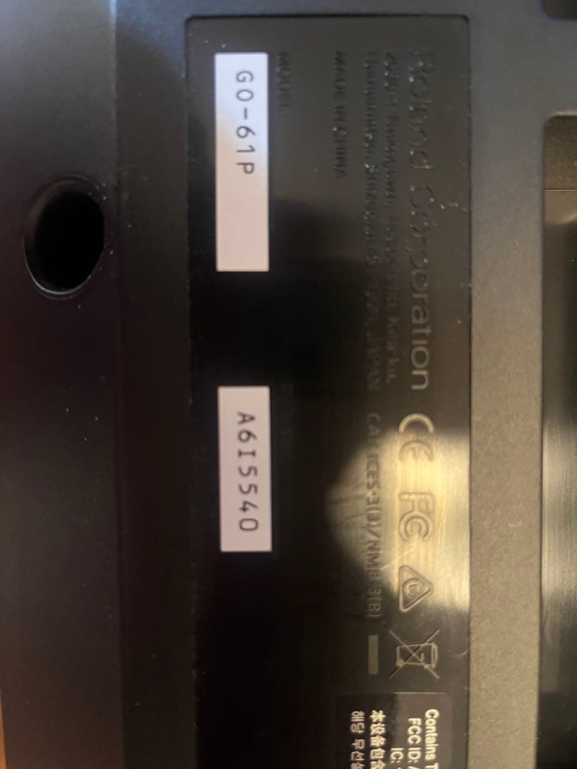 Roland Go piano 61key 単品