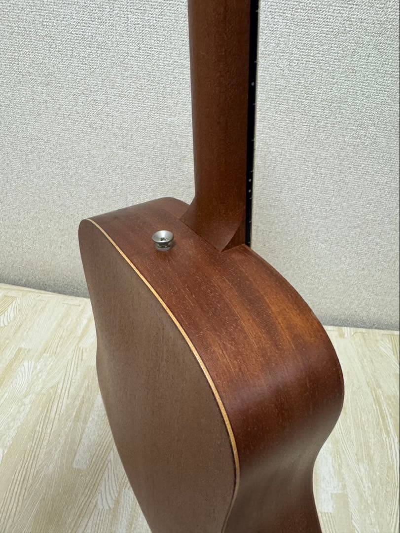 Taylor BT2 ミニギター