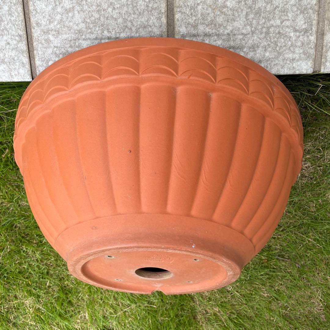 浅型テラコッタ 大きめ 丸鉢 ガーデニング 寄せ植え 植木鉢