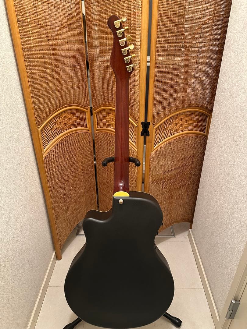 ド*ー様 YAMAHA APX-8S 長渕剛氏