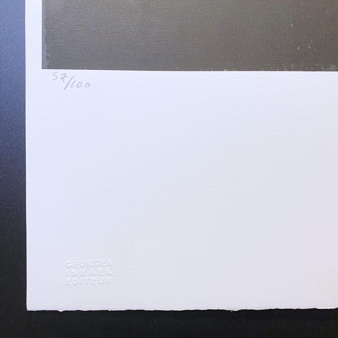【模写】神級レア!!!! アンディ・ウォーホル カエル リトグラフ 証明書付き