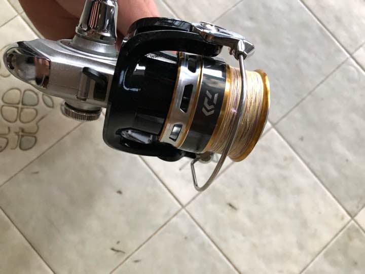 Daiwa リール