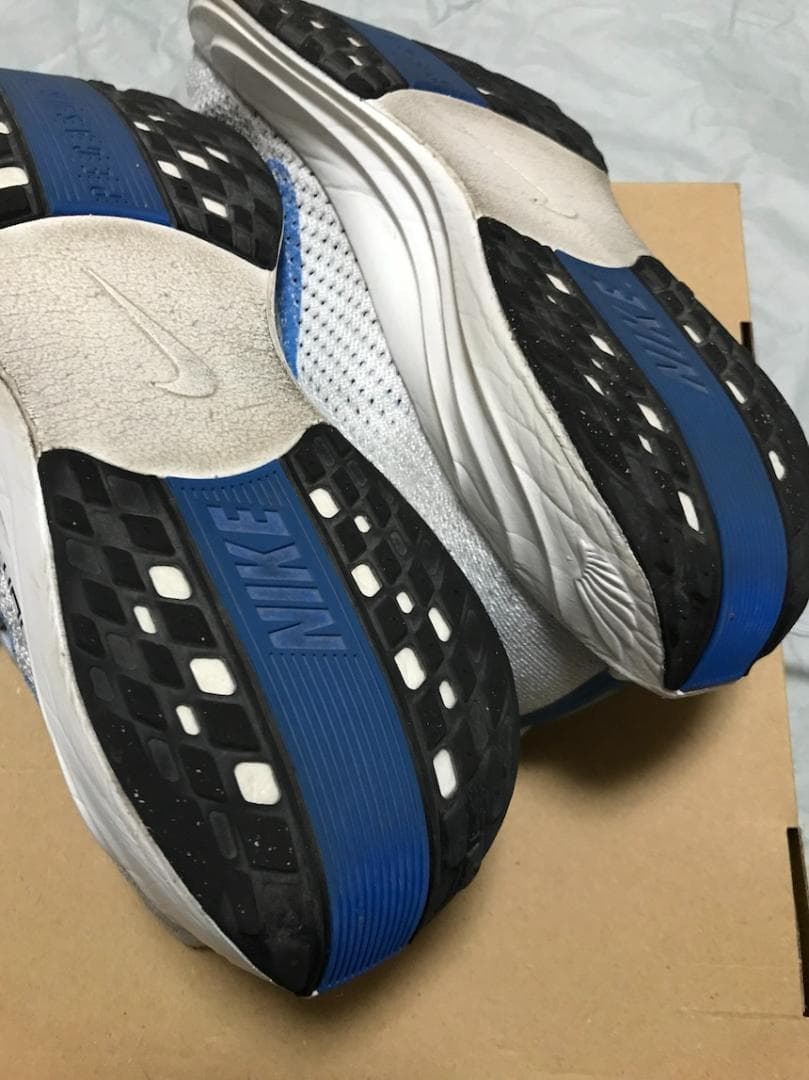 NIKE ナイキ ペガサス プラス メンズ 25.0cm