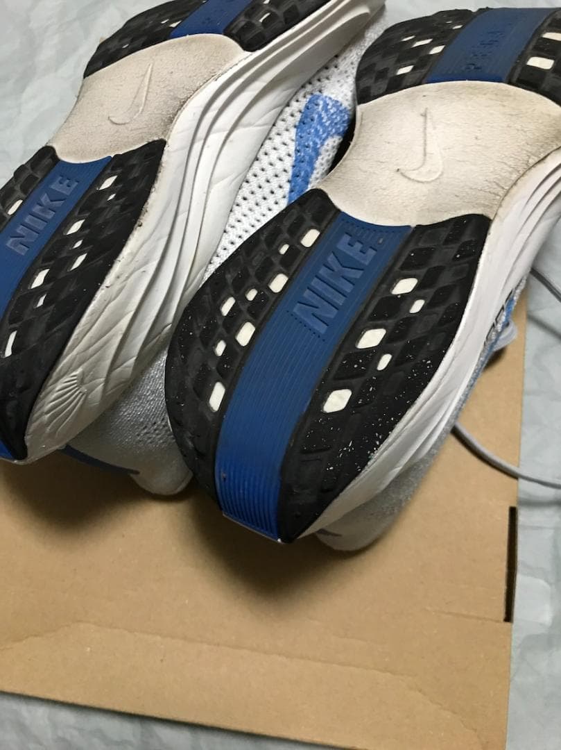 NIKE ナイキ ペガサス プラス メンズ 25.0cm