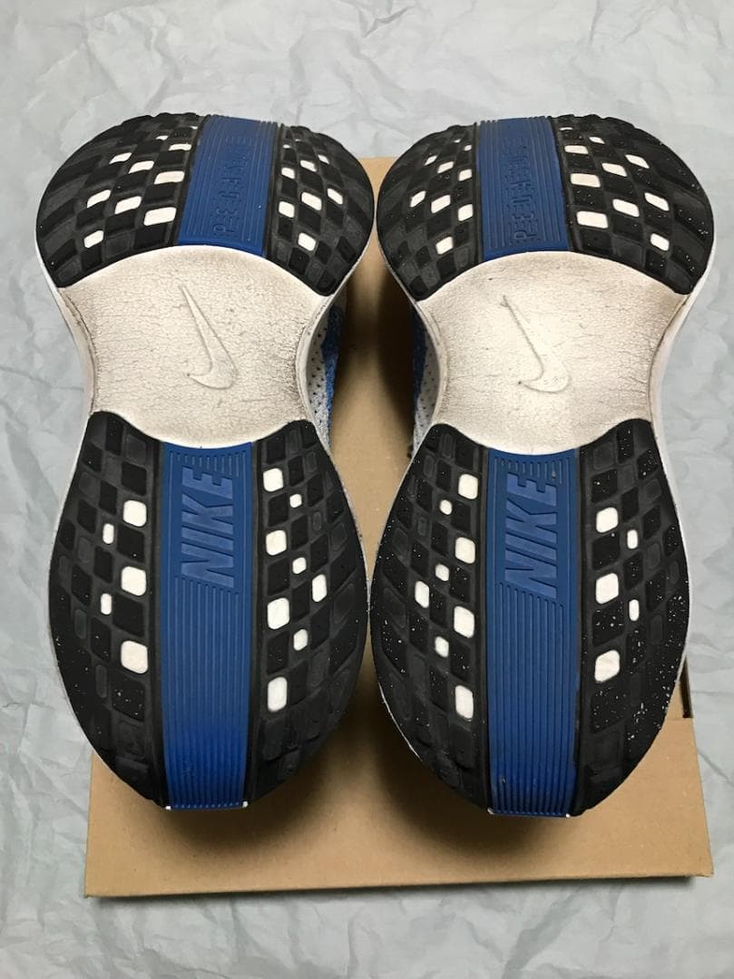 NIKE ナイキ ペガサス プラス メンズ 25.0cm