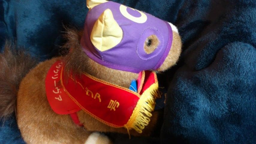 ダイタクリーヴァ　AVANTI　ぬいぐるみ　競馬