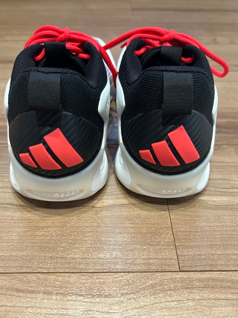 シューズ(男性用) AE1 LOW