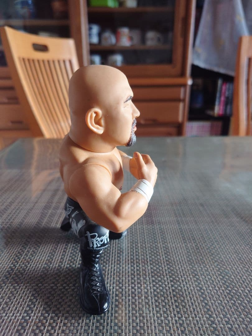 ＨＡＯフィギュアコレクション 武藤敬司