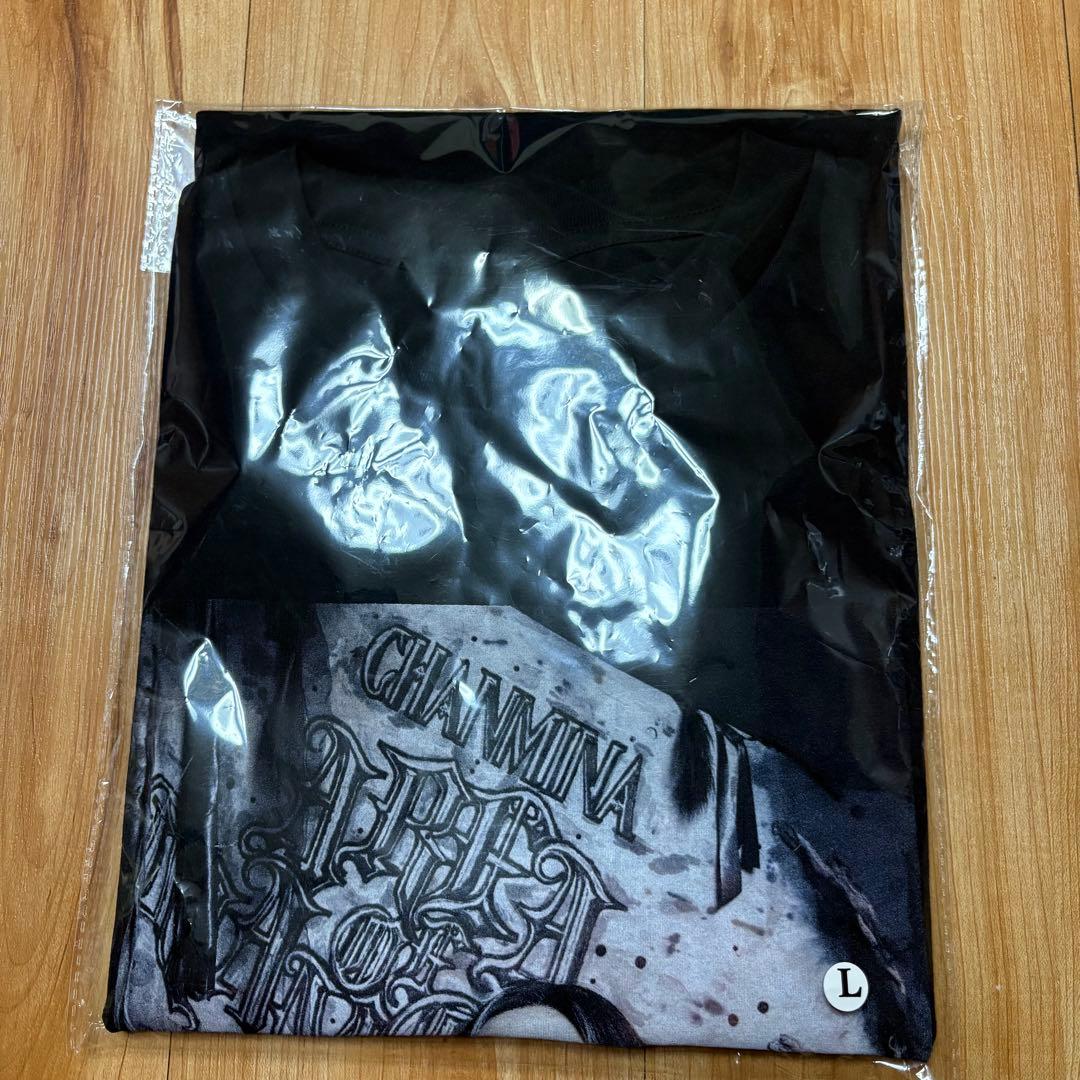 【新品・未開封】ちゃんみなAREA OF DIAMOND４ Ｔシャツ（Ｌ）