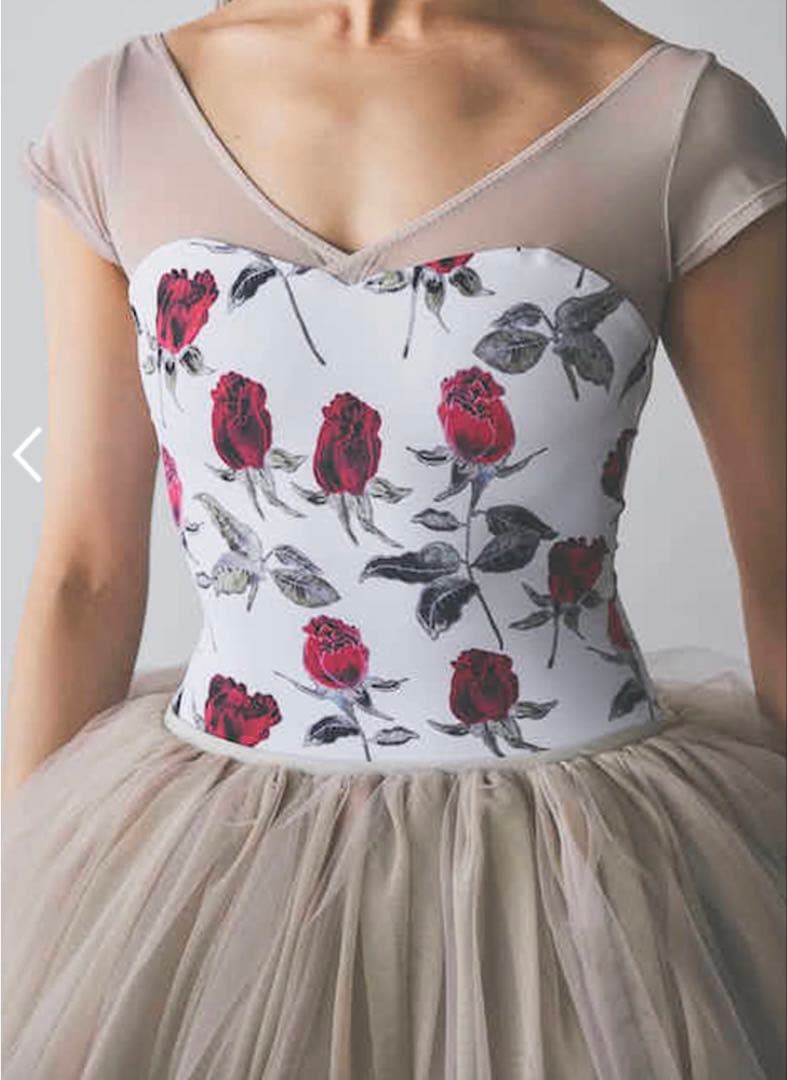 美品　スティナ　stina バレエ　レオタード