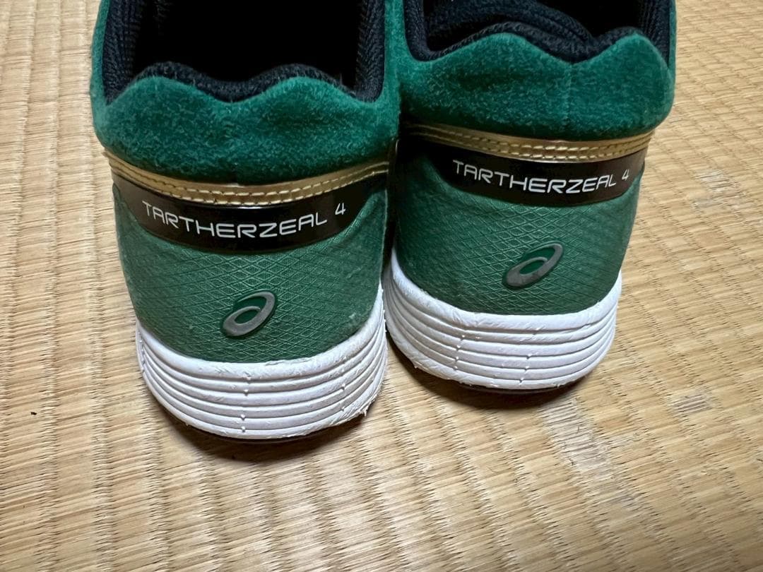 asics アシックス　ターサージール　4　27.5cm　TARTHERZEAL