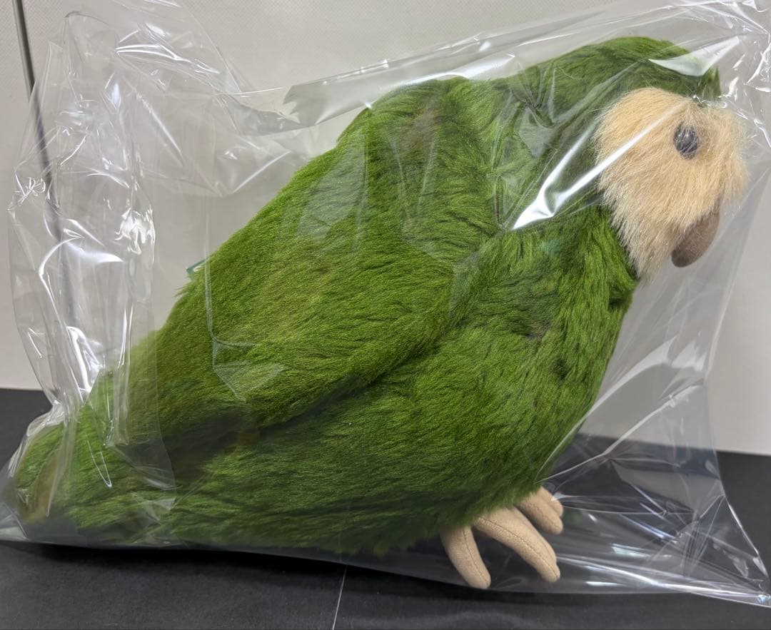 ニュージーランド　カカポ　ぬいぐるみ　鳥
