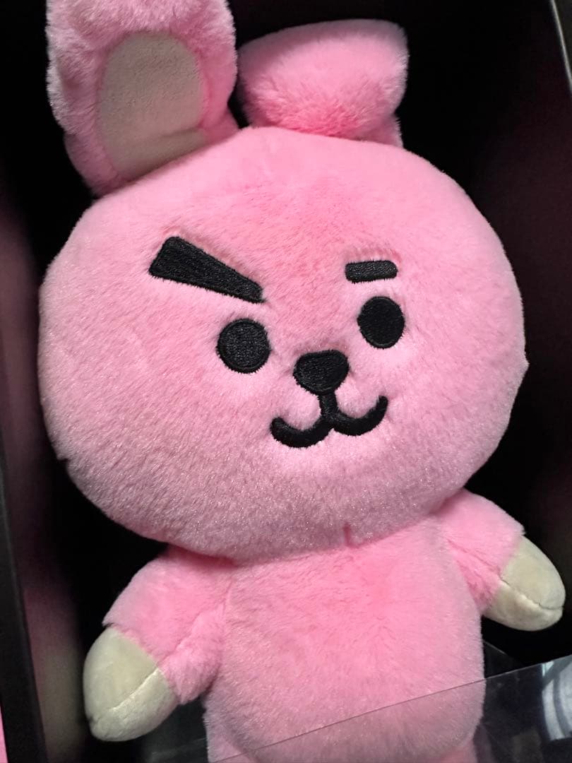 BTS/BT21/cooky/クッキー/ジョングク/11点まとめ売り