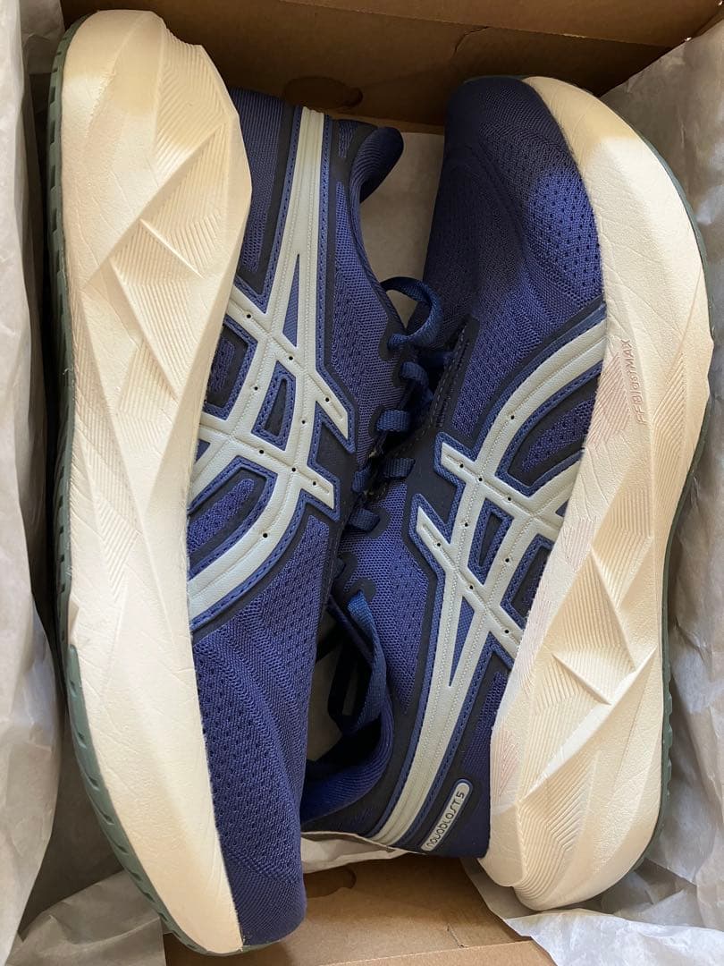 美品 ASICS Novablast5 ノヴァブラスト5 ATC 26cm