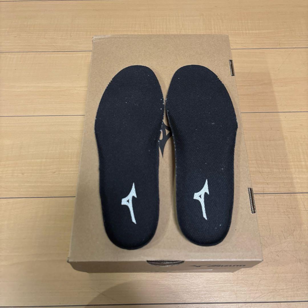 Mizuno Wave Diverse DE2 シューズ ブラック　24cm