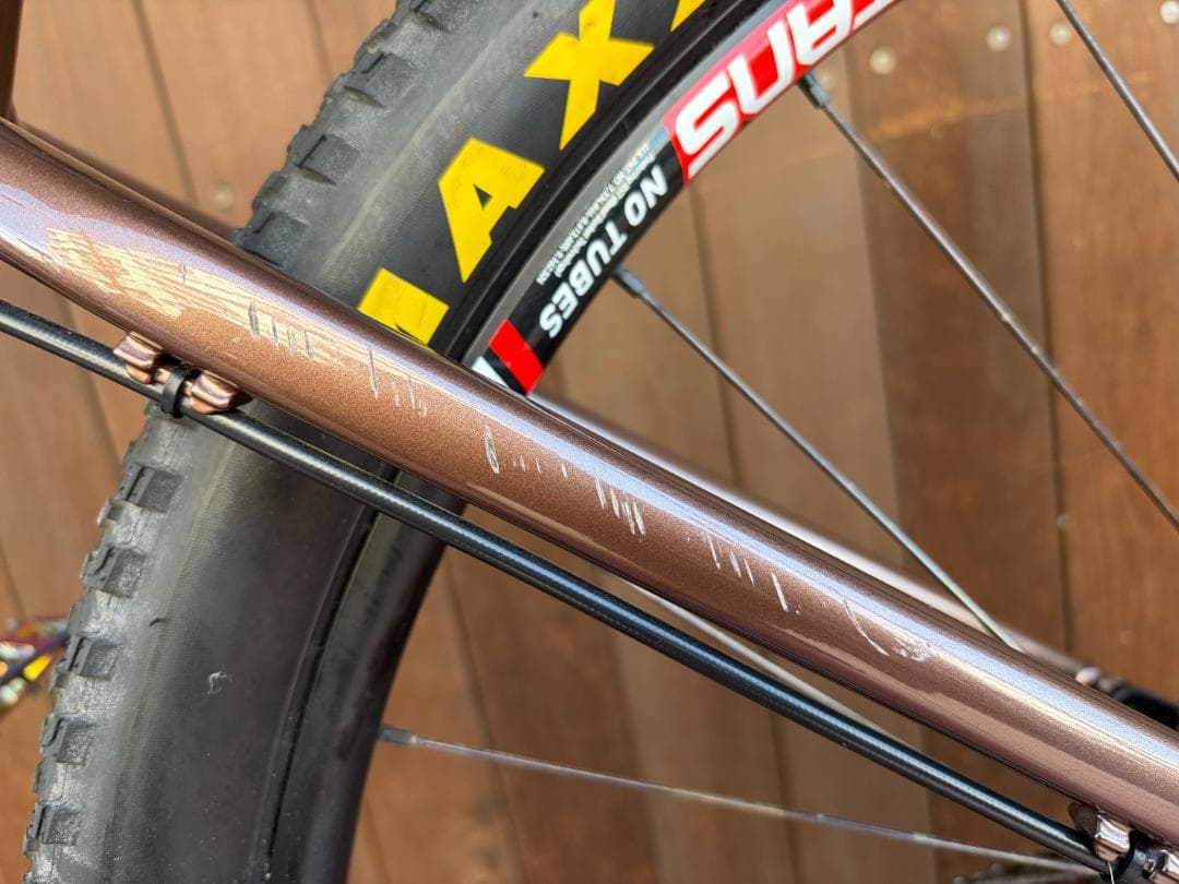 SANTA CRUZ サンタクルーズ CAMELEON MTB L 29er