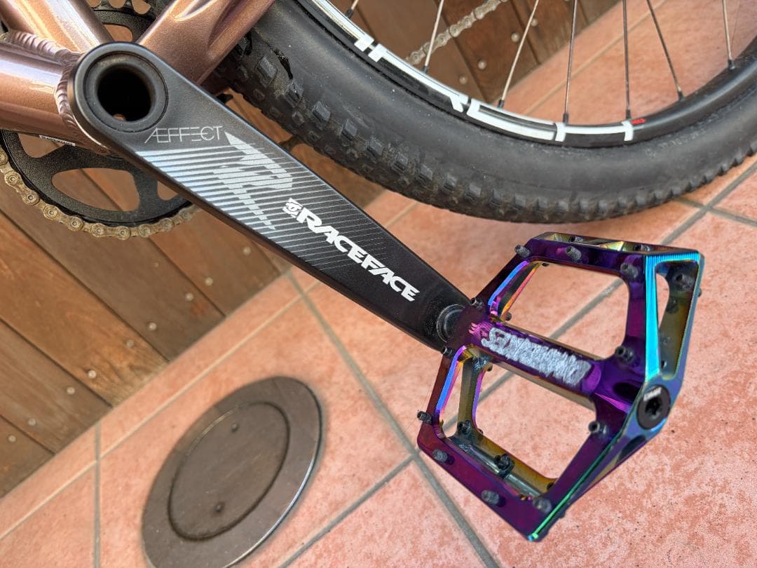 SANTA CRUZ サンタクルーズ CAMELEON MTB L 29er