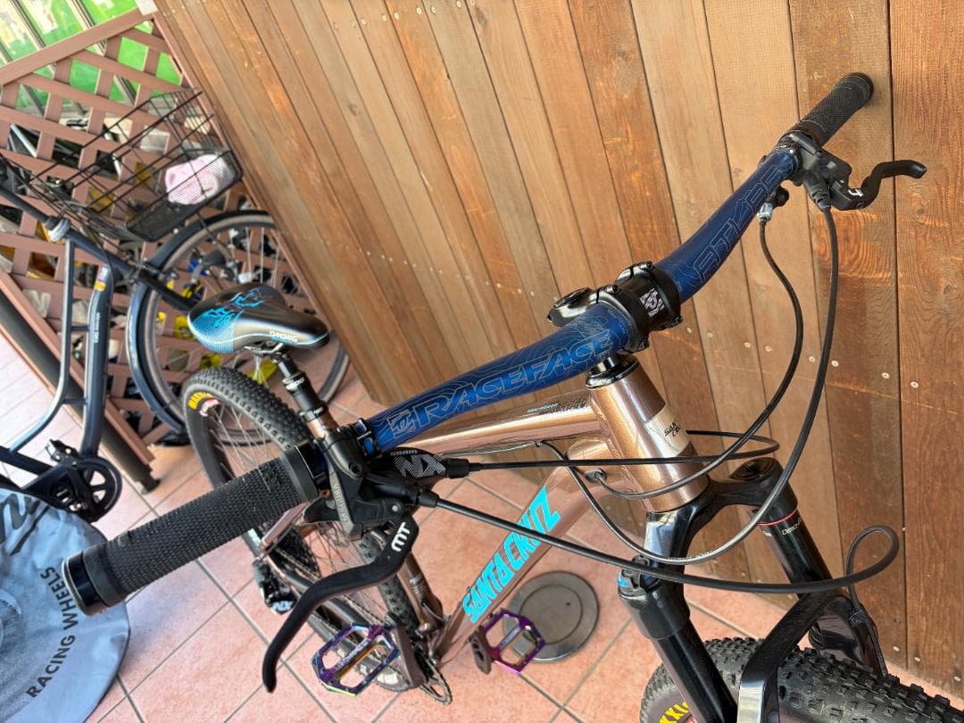 SANTA CRUZ サンタクルーズ CAMELEON MTB L 29er