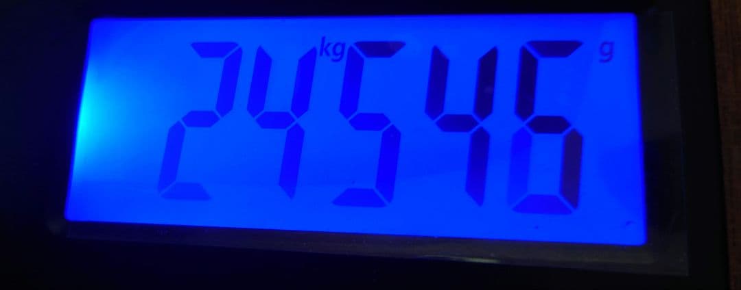 遊戯王 約24.5kg 約15000枚 ノーマル　まとめ売り