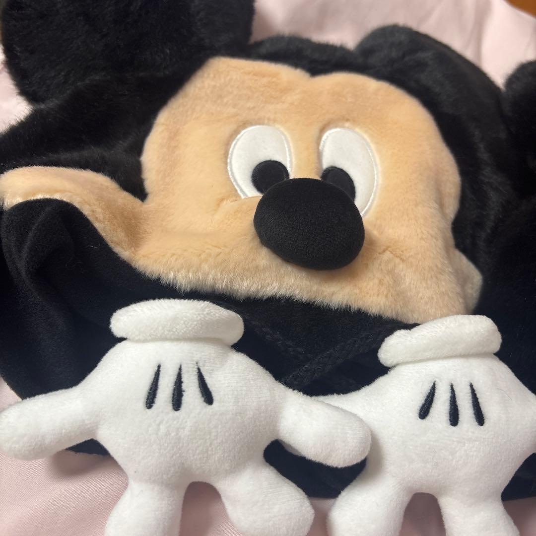 ミッキー＆ミニーファンキャンプ