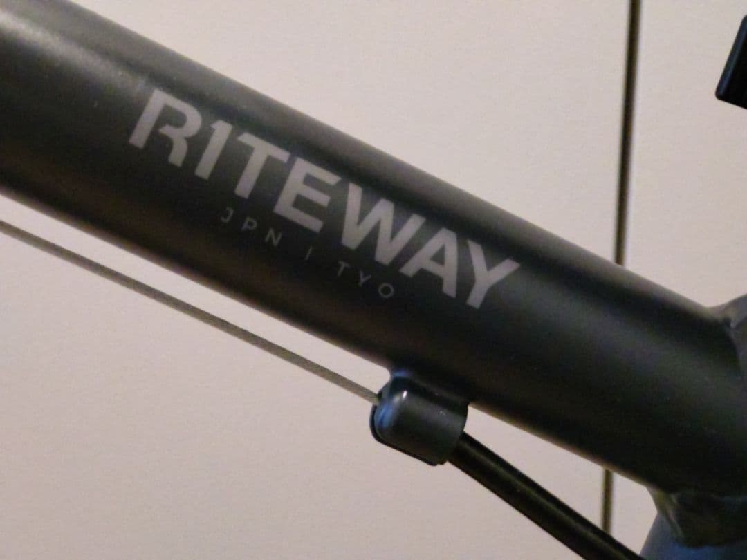 RITEWAY 子供用自転車 20インチ 補助輪付き