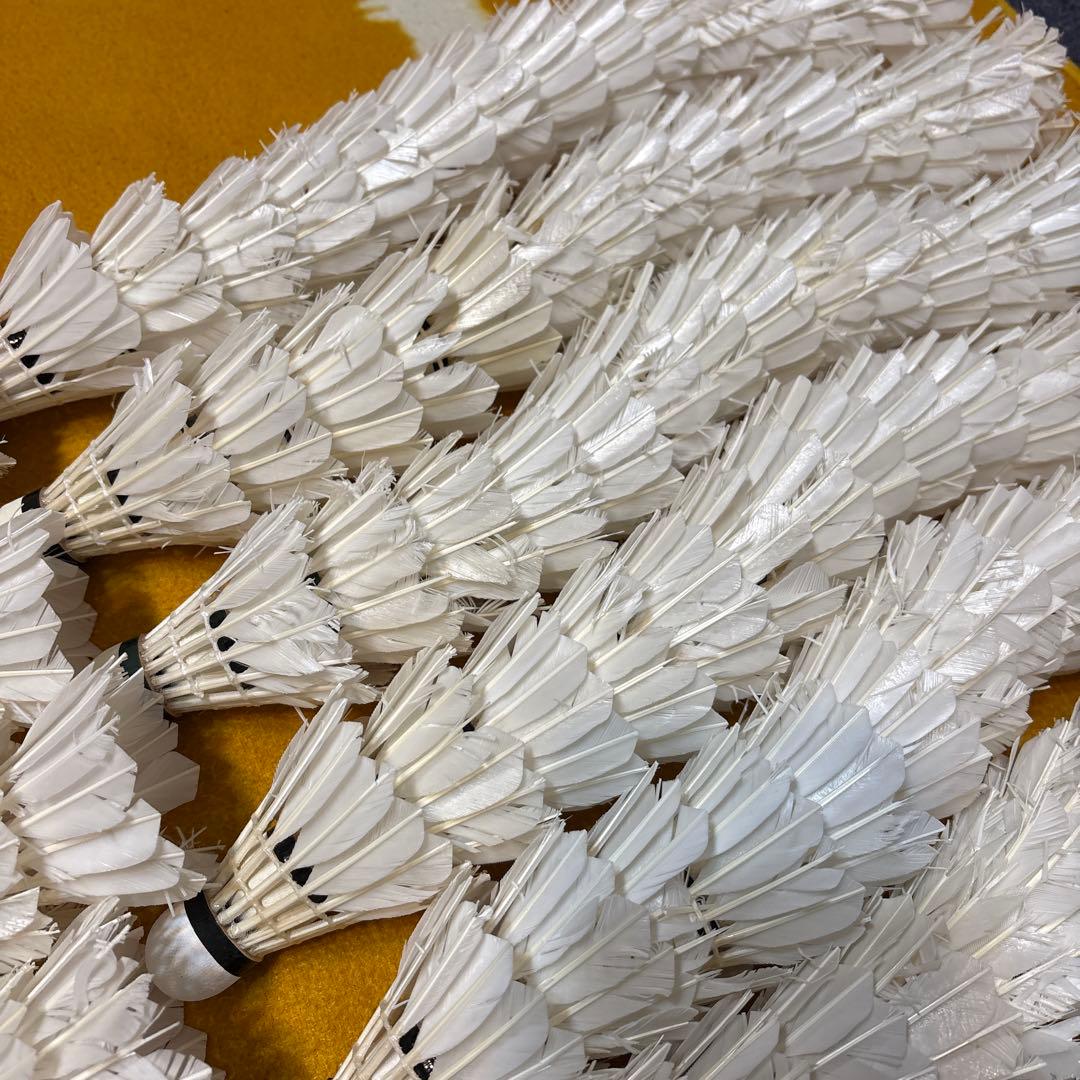 バドミントン　シャトル ノック用　225球セット　ヨネックス　ゴーセン