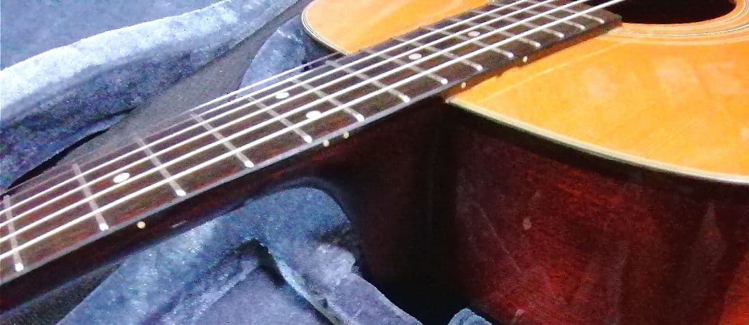 ★1990年代製造★MORRIS MD201N★安定した品質♪