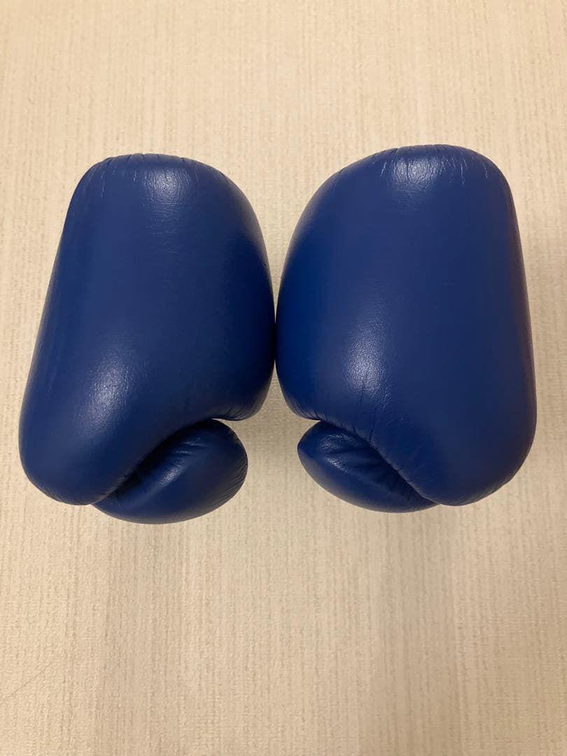 winning ウィニングボクシンググローブ ブルー　8オンス MS-200