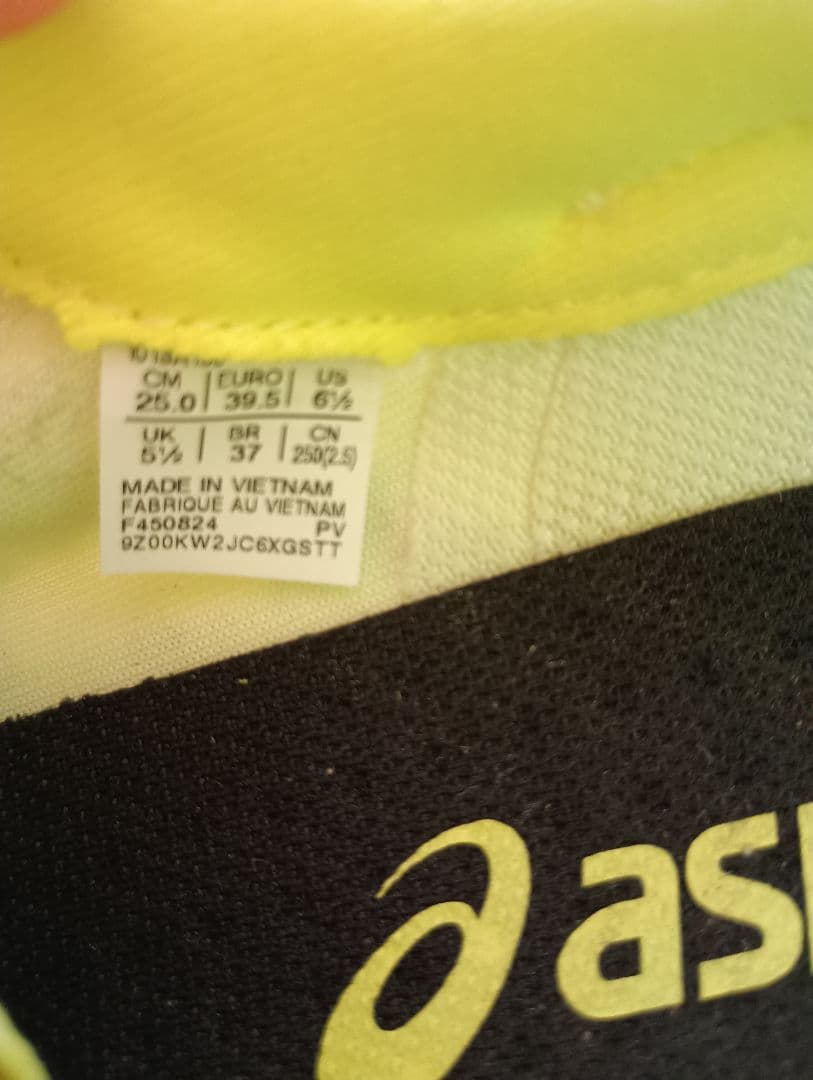 ASICS S4 ヨギリ　25㎝