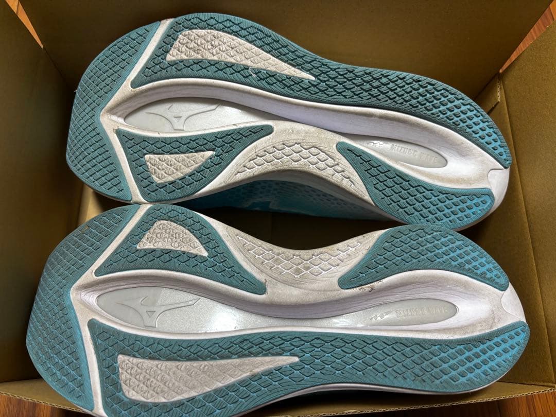 Mizuno WAVE REBELLION FLASH 2 ランニングシューズ