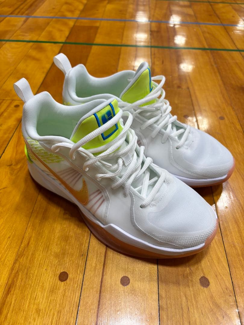 シューズ(男性用) Nike SABRINA 2