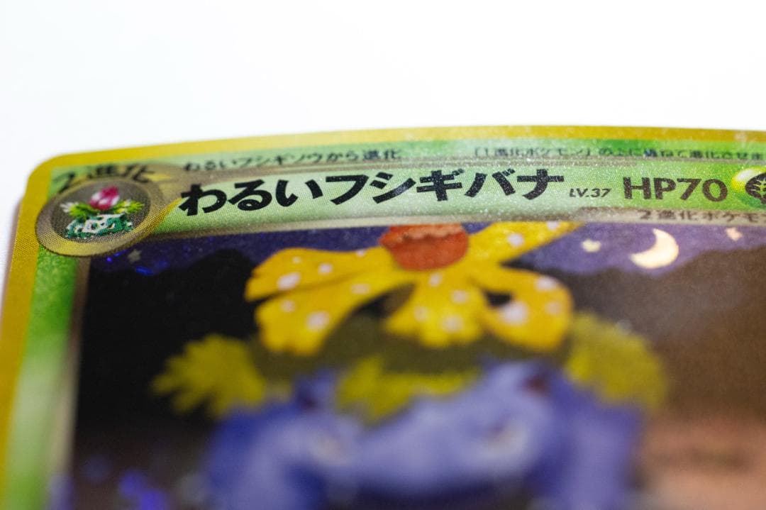 わるいフシギバナ_「ポケモンカードトレーナーズVol.10」 おまけカード PR