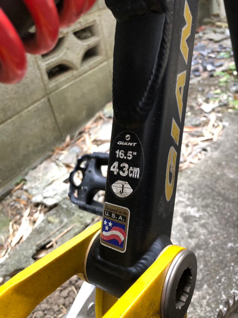 自転車本体 giant warp