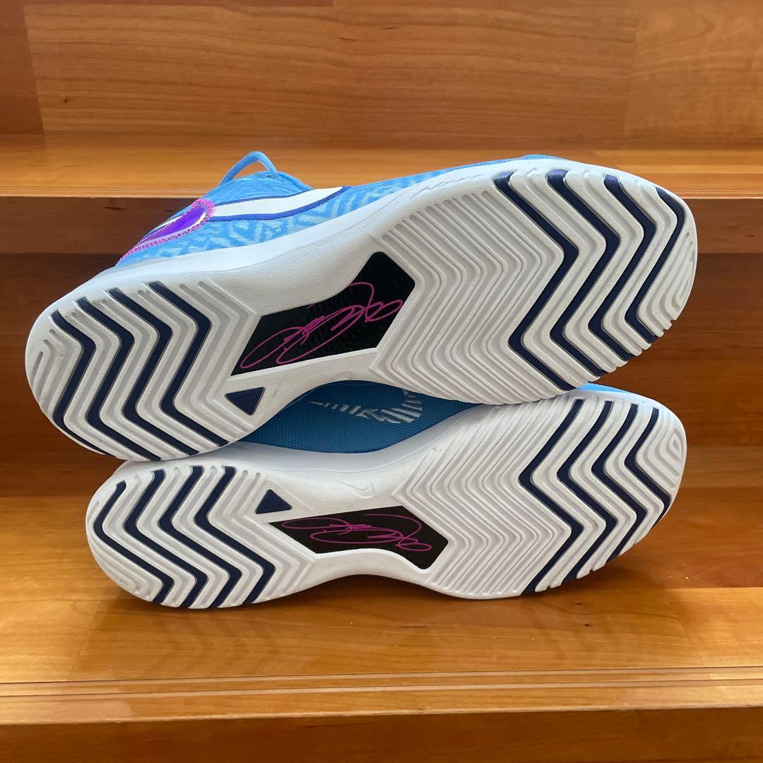 シューズ(男性用) NIKE LEBRON NXXT GENISUS EP HF0711-402
