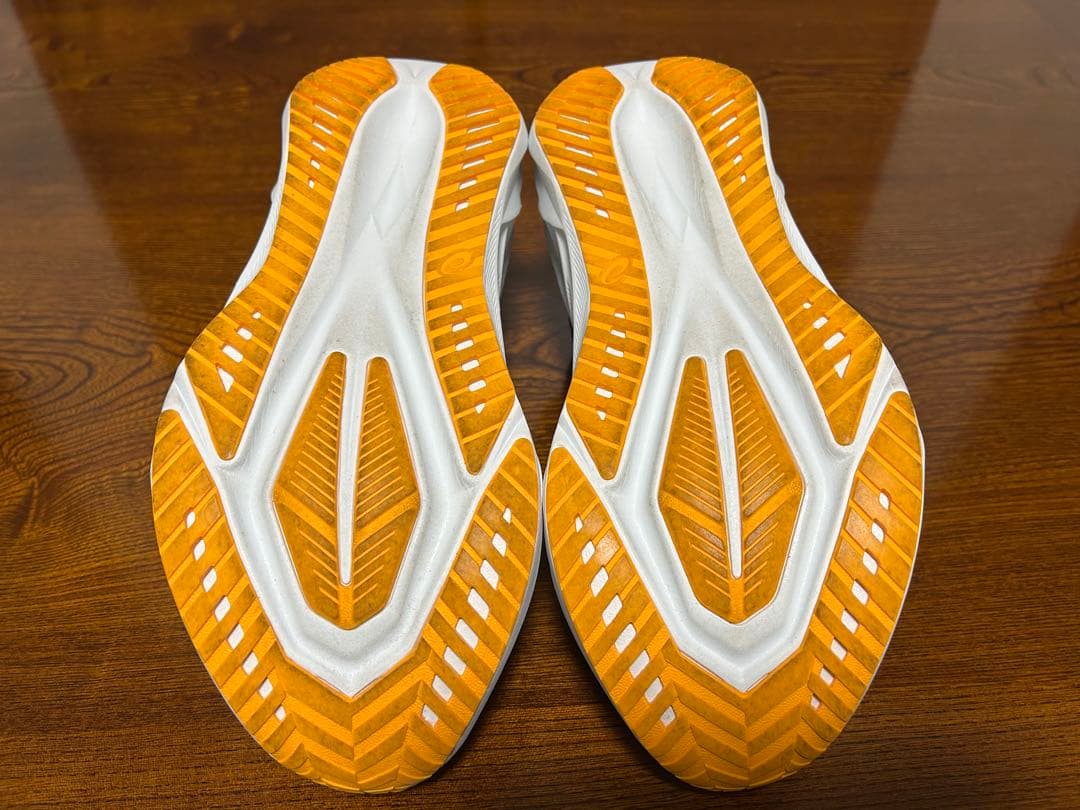ASICS NOVABLAST アシックス ノヴァブラスト 5 25.0cm