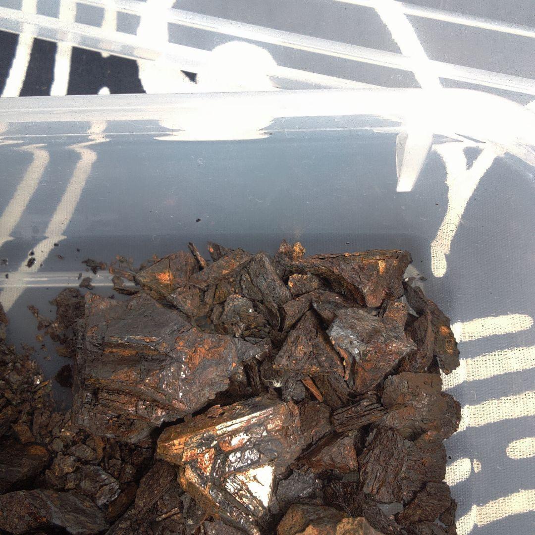 隕石 ？ Muonionalusta Meteorite もろいです。