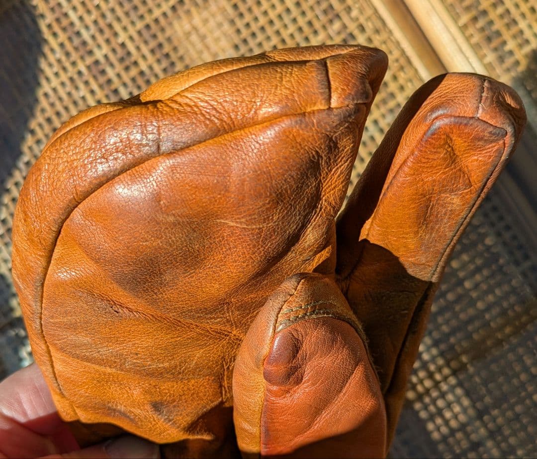【現行カラー 美品】ヘストラ HESTRA グローブスリーフィンガー サイズ 5