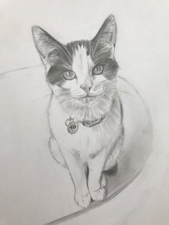 値下げしました！オリジナルのペットの鉛筆画