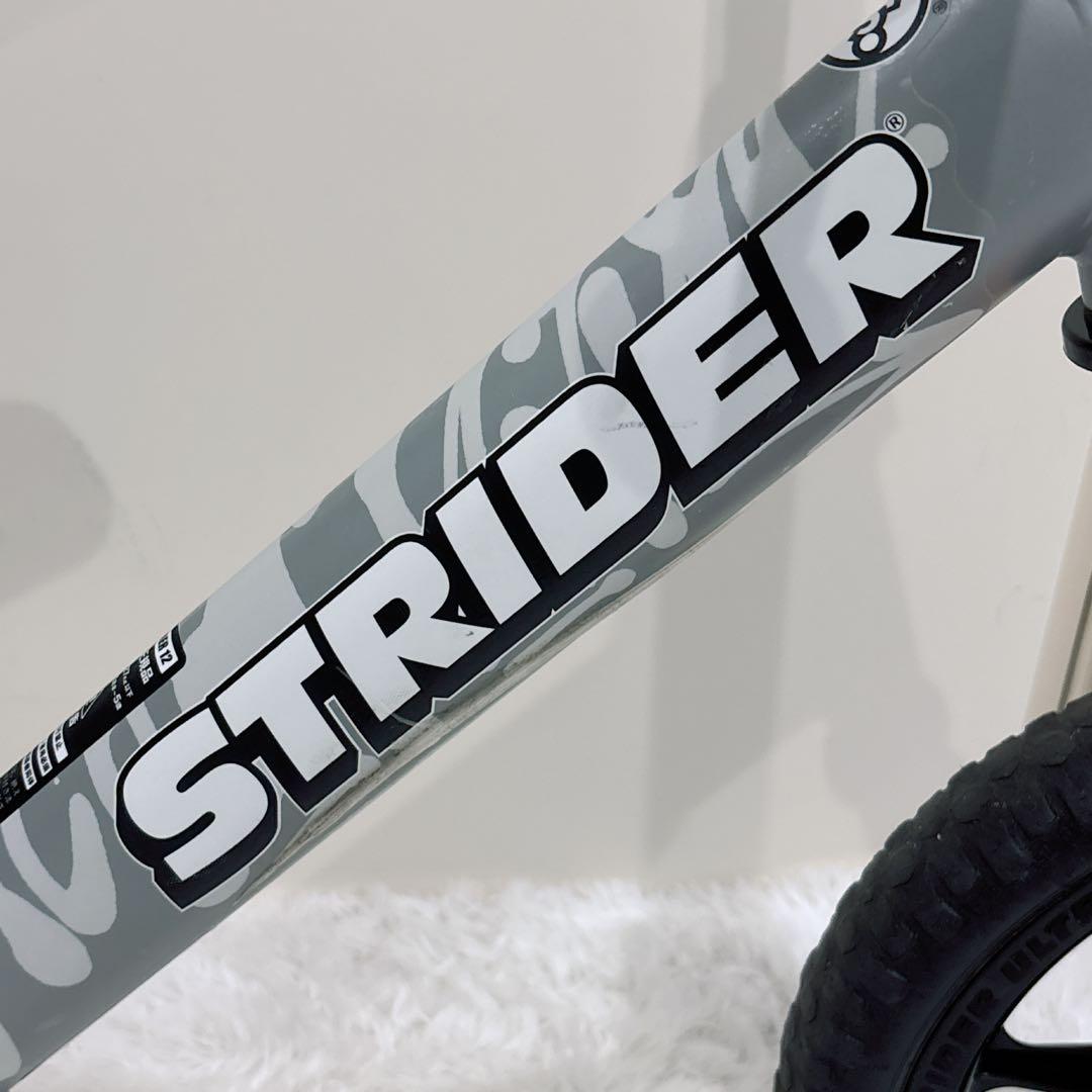 【廃盤・限定モデル】STRIDER ストライダー 12 神山隆二 ケース付き
