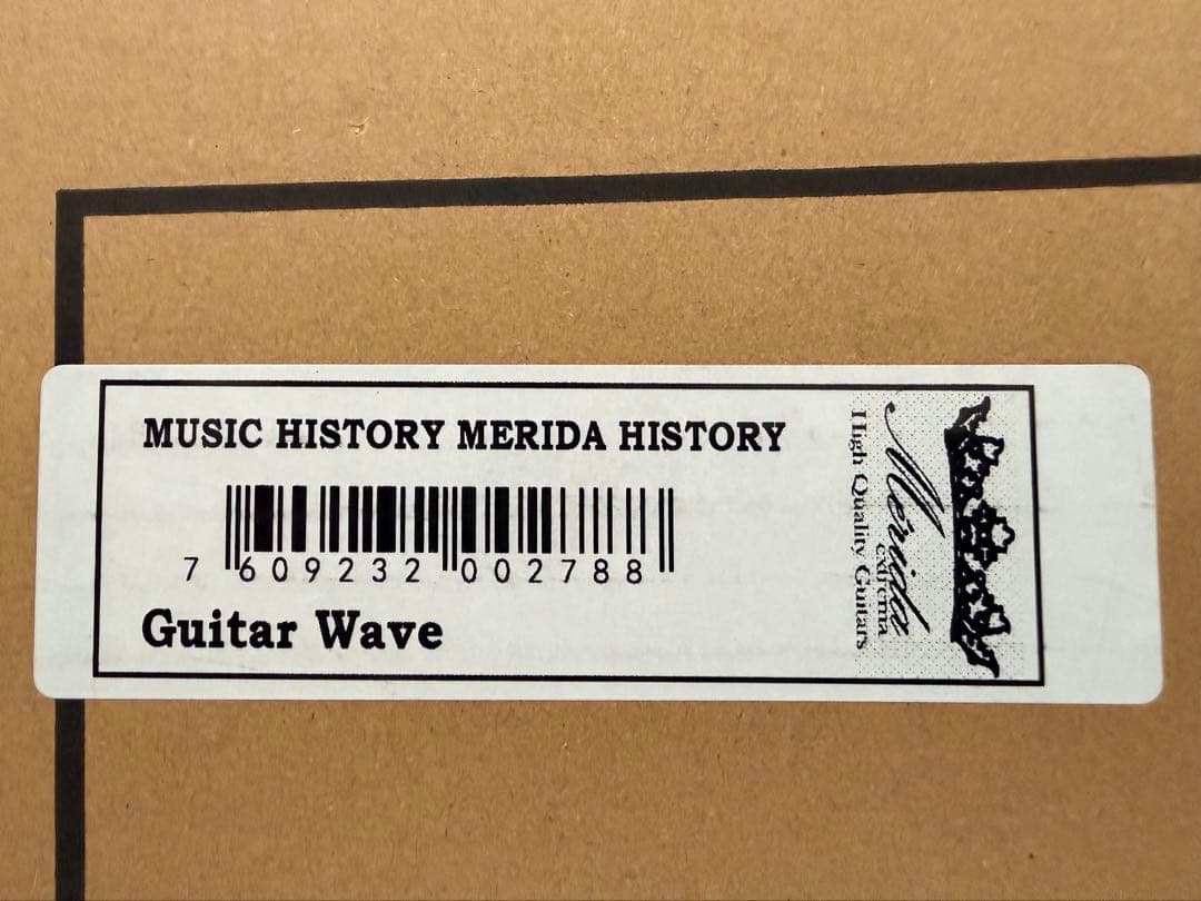 bobby　アコースティックギター 　Merida ギター / WAVE