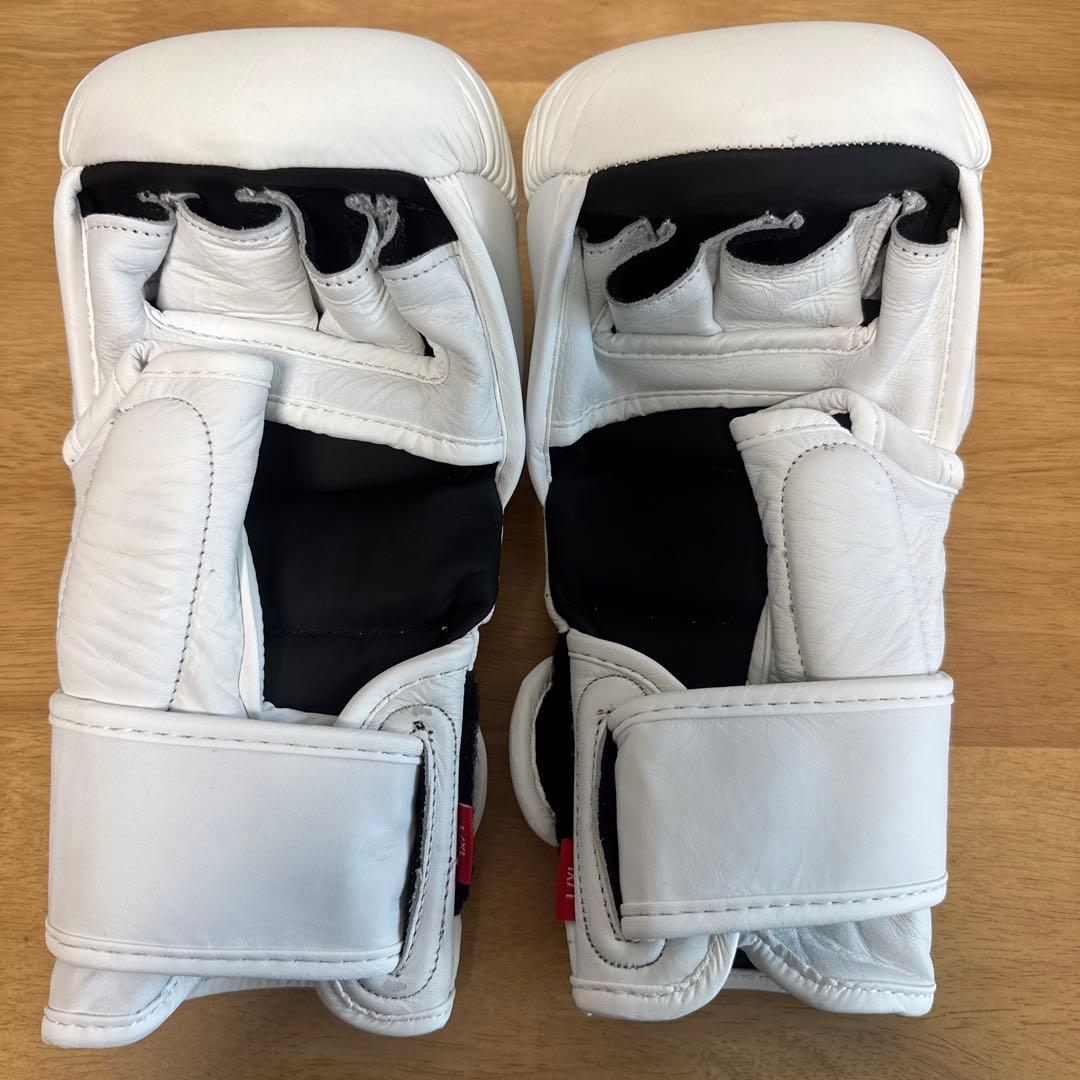 【激レア・日本未発売】CRNR MMAスパーリンググローブ