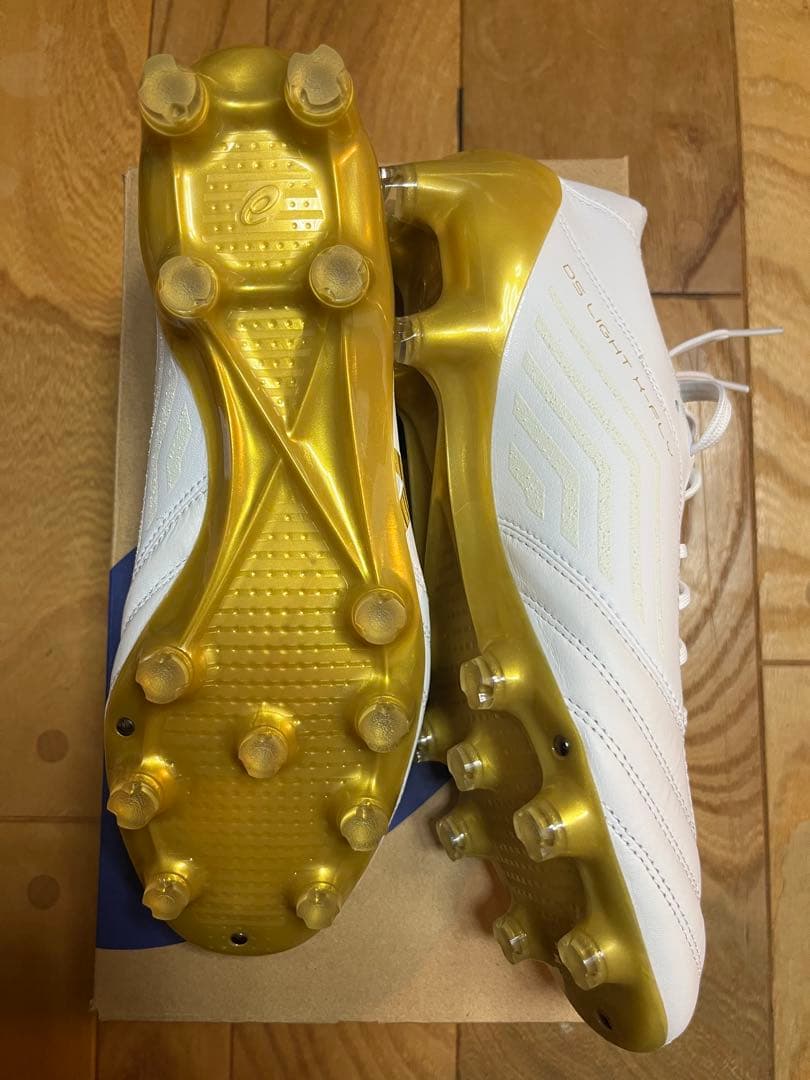 新品　激レア　W杯限定カラー　アシックス　DSライト X-FLY 4 25cm