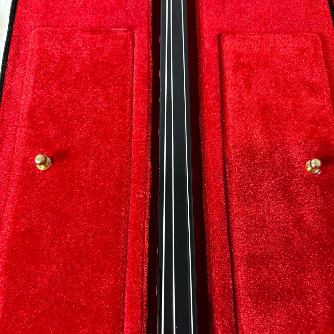 【極美品】沖縄三線　真壁型 合皮 人工皮 セミハードケース付 付属品多数