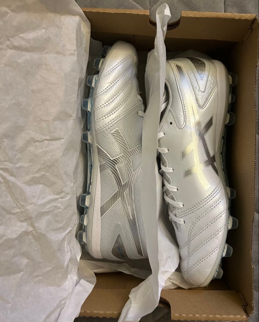 ASICS DS LIGHT PRO AG 25センチ
