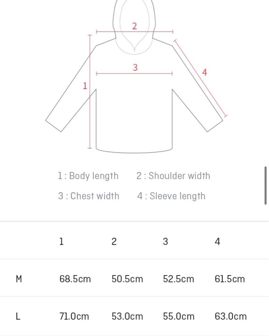最終値下げ！TXT HOODIE パーカー クローバー 希少品 Lサイズ