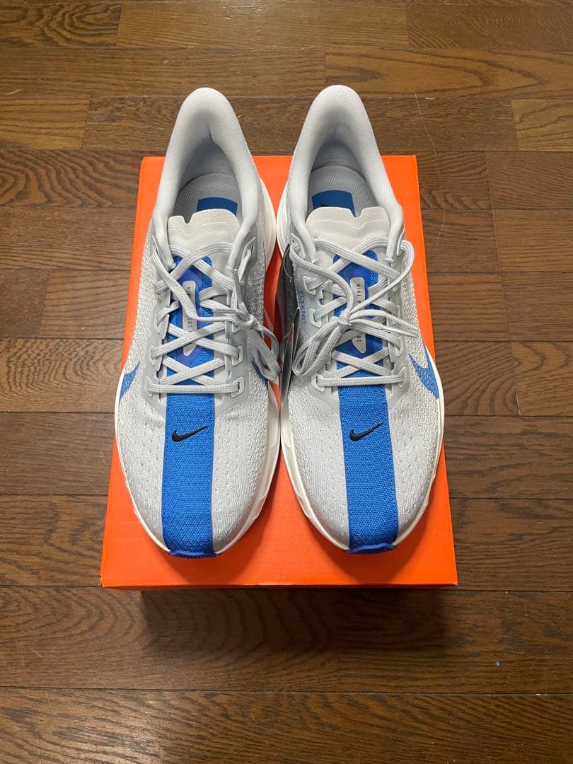 ナイキ　ペガサス　プラス　PEGASUS PLUS 28cm