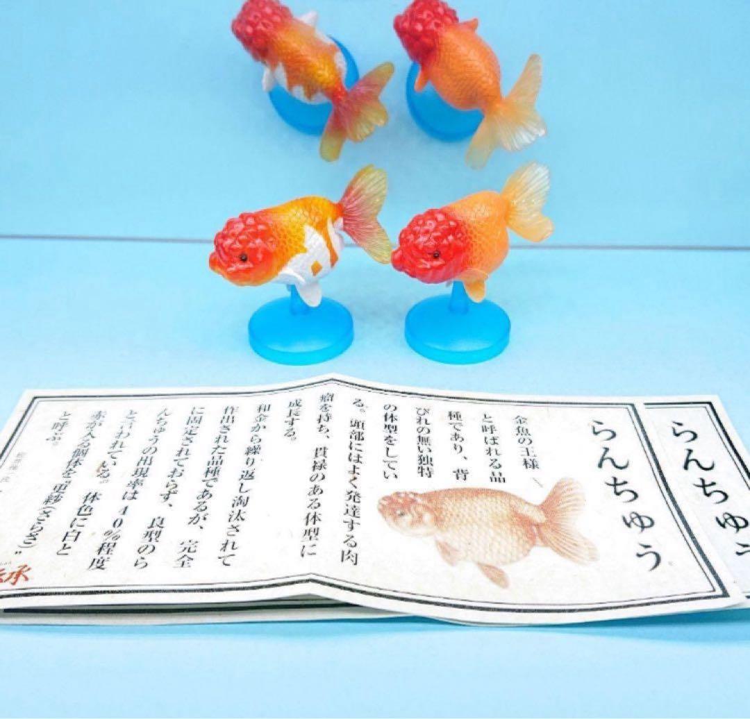 希少【金魚伝承】 金魚伝来500年記念フィギュア ノーマルコンプ１０種