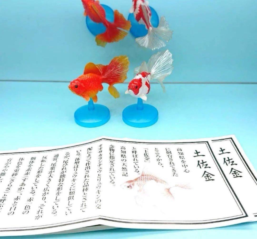 希少【金魚伝承】 金魚伝来500年記念フィギュア ノーマルコンプ１０種